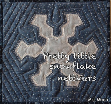 Pretty little snowflake nettkurs